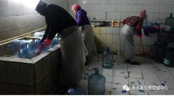 桶裝水內(nèi)幕曝光 重復(fù)回收桶與一次性濾芯，哪個(gè)更安全？